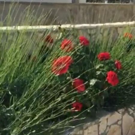 Miro Apartmani Razanac Bagian luar foto