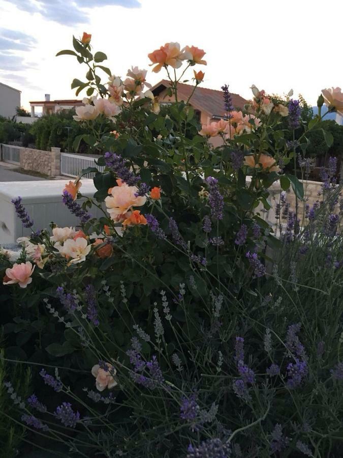 Miro Apartmani Razanac Bagian luar foto
