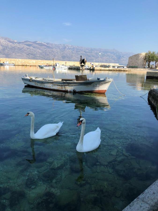 Miro Apartmani Razanac Bagian luar foto